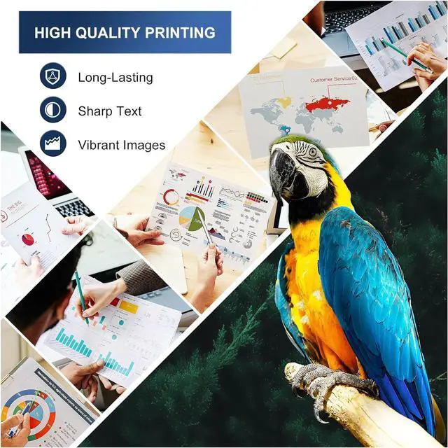 Alt view image 6 of 7 - Ennovor MM MUCH & MORE Compatible PGI-72 Ink Cartridge Replacement for Canon PGI72 PGI-72 Work for Pixma Pro-10 Pro-10s Pro10s Pro10 Printers (30-Pack, 3-Set, MBK/PBK/C/M/Y/PM/PC/R/GY/CO)