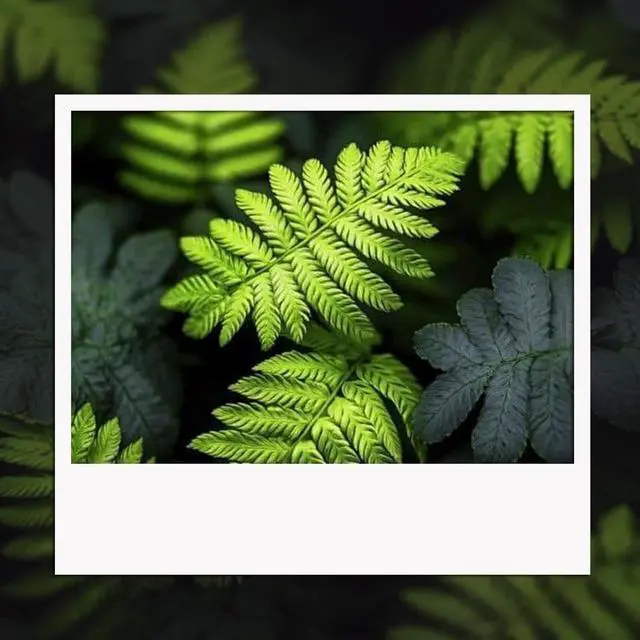 Alt view image 7 of 7 - 902xl Ink cartridges Black Color Combo Pack for hp Printers