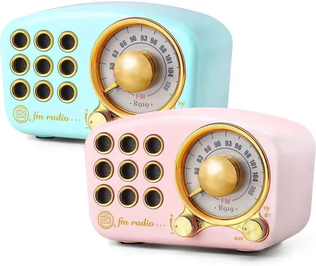 Main image of Greadio Retro Bluetooth Speaker, Vintage Radio FM Radio with Old Fashioned Classic Style, Strong Bass Enhancement, Loud Volume, Bluetooth 4.2 Wireless Connection, TF Card and MP3 Player(Blue+Pink)