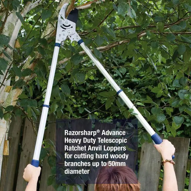 Alt view image 3 of 6 - Spear & Jackson 8290RS Razorsharp Heavy Duty Telescopic Ratchet Anvil Loppers, Extendable 40 1/2" Handles, Ideal for Cutting Thick Hard To Reach Branches, Powerful Ratcheting Mechanism
