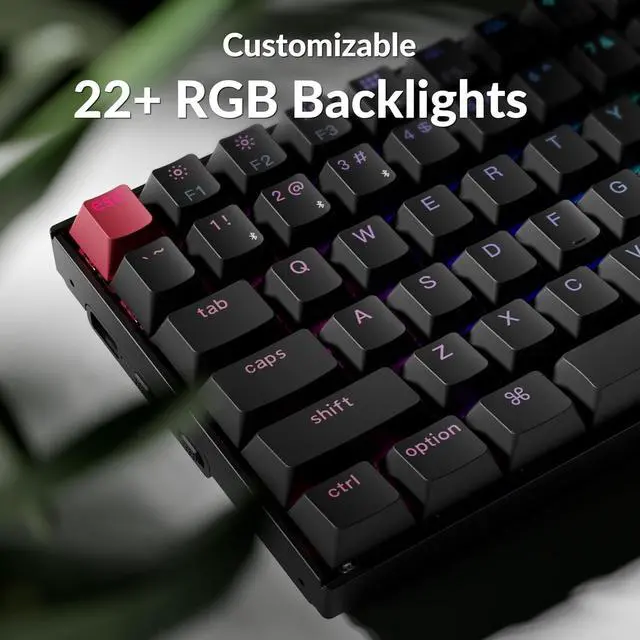 Alt view image 4 of 7 - Keychron K2 75% Layout QMK Wireless and Wired Options Mechanical Keyboard Super Red Switch, RGB Backlight with Shine-Through Double-Shot PBT Keycaps for Mac Windows-Version 3