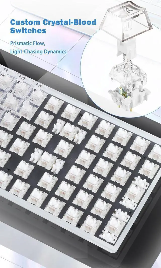 Alt view image 6 of 7 - ZyphX Z-Zero 98-Key Mechanical Keyboard, Hot-Swappable RGB, Crystal Clear Housing, Ice Soul Linear Switches, TOP Mount (Crystal)