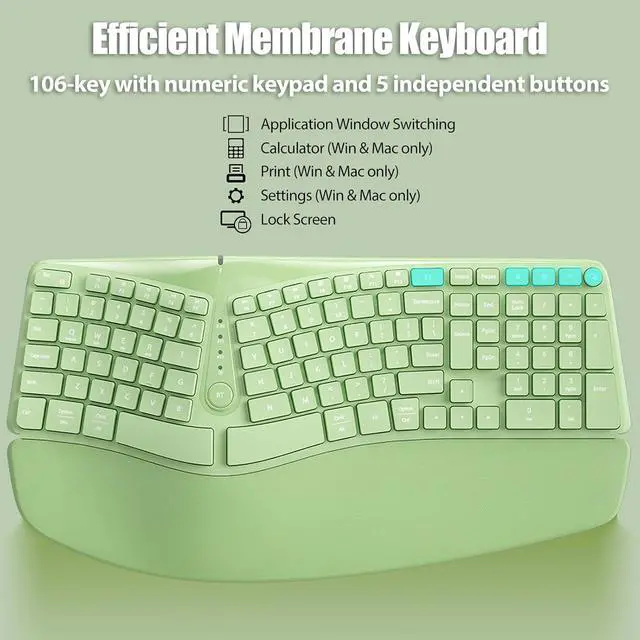 Alt view image 5 of 7 - Bow Split Ergonomic Keyboard Wireless with Cushioned Wrist & Palm Rest, Wireless 2.4G/Bluetooth/Wired USB-C, Comfortable Natural Typing, Compatible with Windows/Mac/PC/Laptop, Matcha Green