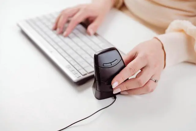 Alt view image 7 of 7 - Bakker & Elkhuizen - DXT 3 Precision Mouse Wired