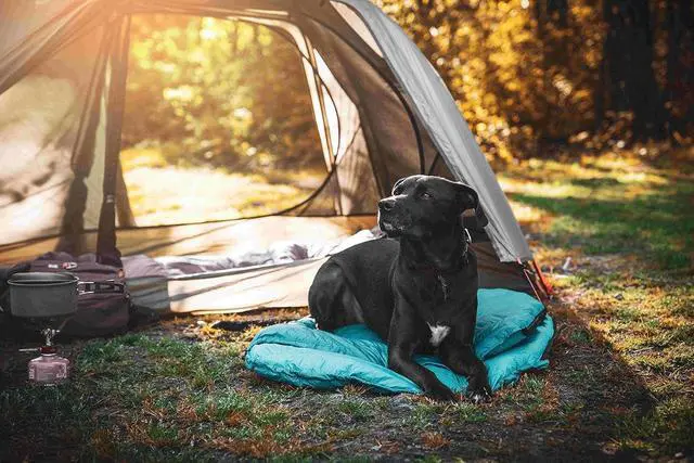Alt view image 6 of 7 - Ultralight Dog Sleeping Bag for Backpacking-Outdoor Dog Bed for Hiking-Packable Sleeping Bag for Dogs-Dog Travel Bed (Glacial Blue | Large)