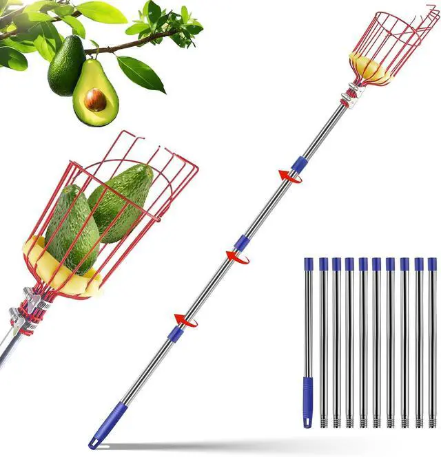 Main image of Qiullen 13 FT Extendable Fruit Picker Pole Tool Adjustable Long Handle Fruit Picker Metal Basket Fruit Grabber Tool with Protective Foam Pad Stainless Steel Garden Picker Tool for Apple Mango Lemon