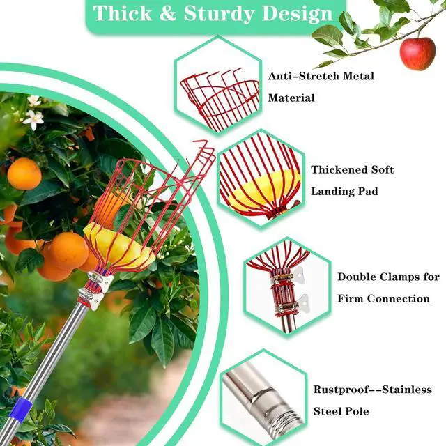 Alt view image 3 of 7 - Qiullen 13 FT Extendable Fruit Picker Pole Tool Adjustable Long Handle Fruit Picker Metal Basket Fruit Grabber Tool with Protective Foam Pad Stainless Steel Garden Picker Tool for Apple Mango Lemon