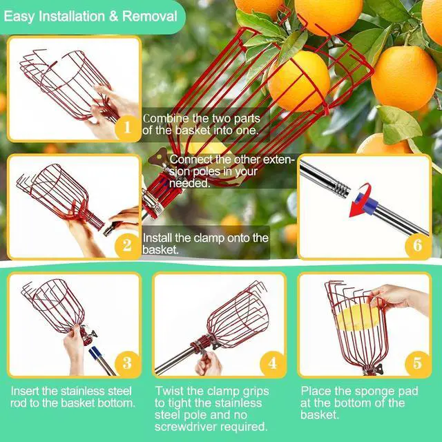 Alt view image 4 of 7 - Qiullen 13 FT Extendable Fruit Picker Pole Tool Adjustable Long Handle Fruit Picker Metal Basket Fruit Grabber Tool with Protective Foam Pad Stainless Steel Garden Picker Tool for Apple Mango Lemon