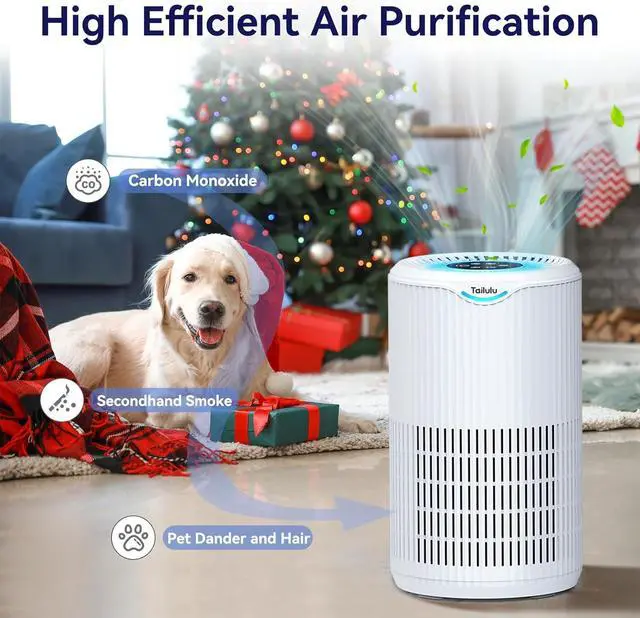 Alt view image 6 of 7 - Air Purifiers for Home Large Room Up to 1500 Sq Ft, Tailulu H13 HEPA Air Purifier for Pet Dander Smoke Odor Dust Pollen, Air Filter for Bedroom Living Room, Kitchen, Office, Sleep Mode