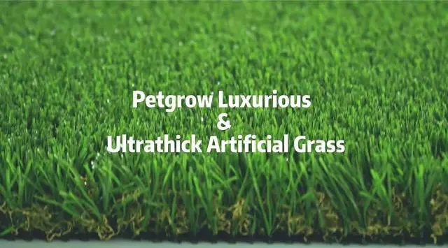 Alt view image 4 of 4 - Petgrow Ultrathick Artificial Grass Turf,1.77 Inch High Dense W Shape Grass Silk -Durable PU Backing-Luxurious Indoor Outdoor Dog Garden Landscape Patio Synthetic Fake Faux Grass Mat-Sent by Rolled