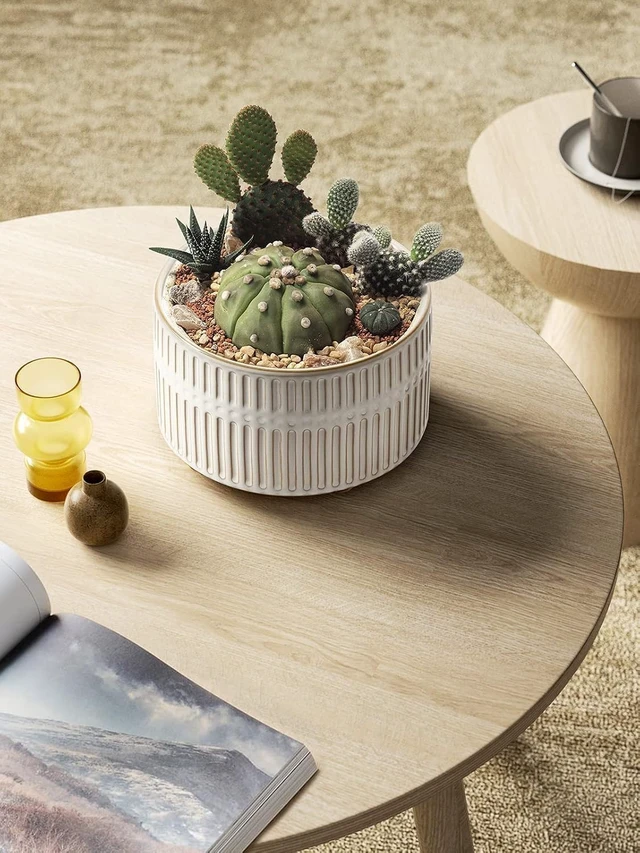 Alt view image 3 of 7 - LE TAUCI Succulent Planters, 6.5+8 Inch Ceramic Indoor Plant Pot with Drainage Hole, Shallow Round Succulent Pots, Set of 2, Reactive Glaze White