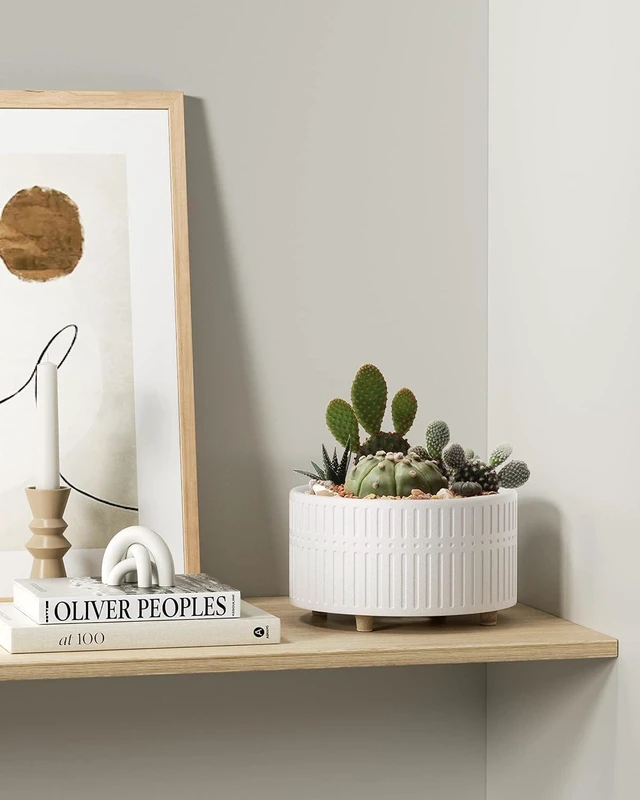 Alt view image 6 of 7 - LE TAUCI Succulent Pots, 6.5+8 Inch Ceramic Indoor Plant Pot with Drainage Hole, Shallow Round Succulent Planters, Set of 2, Matte White