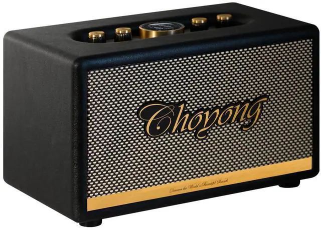 Main image of CHOYONG Maestro C2 WiFi Speaker Wireless Bluetooth Smart Speaker,Three-Way Speaker System,Internet Radio Global Station,Record Player Compatible with RCA Input,Choyoung C2