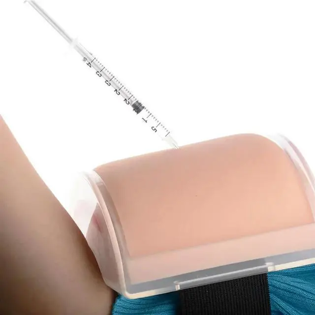 Alt view image 3 of 3 - IM SQ Injection Simulator Intramuscular Injection Model Better Visualization Of Subcutaneous And Intramuscular Injection De