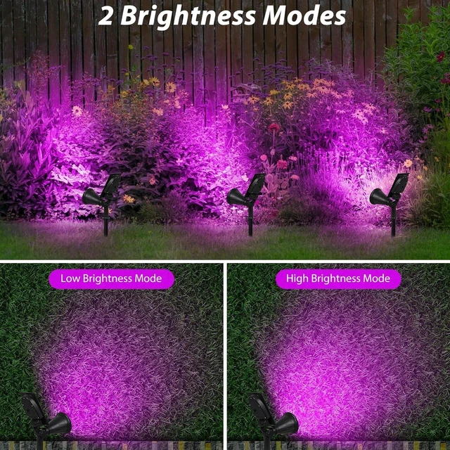 Alt view image 3 of 7 - T-SUN Purple Solar Spot Lights Outdoor, Solar Black Lights Outdoor,2 Pack