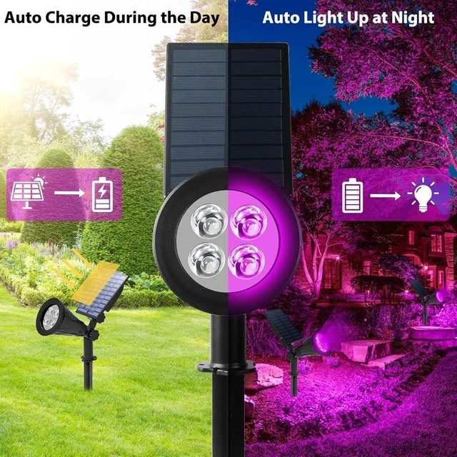 Alt view image 2 of 7 - T-SUN Purple Solar Spot Lights Outdoor, Solar Black Lights Outdoor,2 Pack