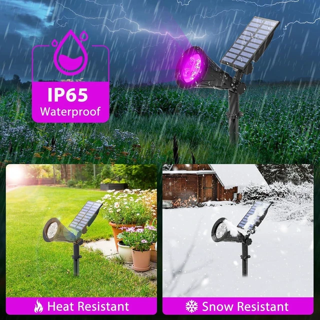 Alt view image 6 of 7 - T-SUN Purple Solar Spot Lights Outdoor, Solar Black Lights Outdoor,2 Pack