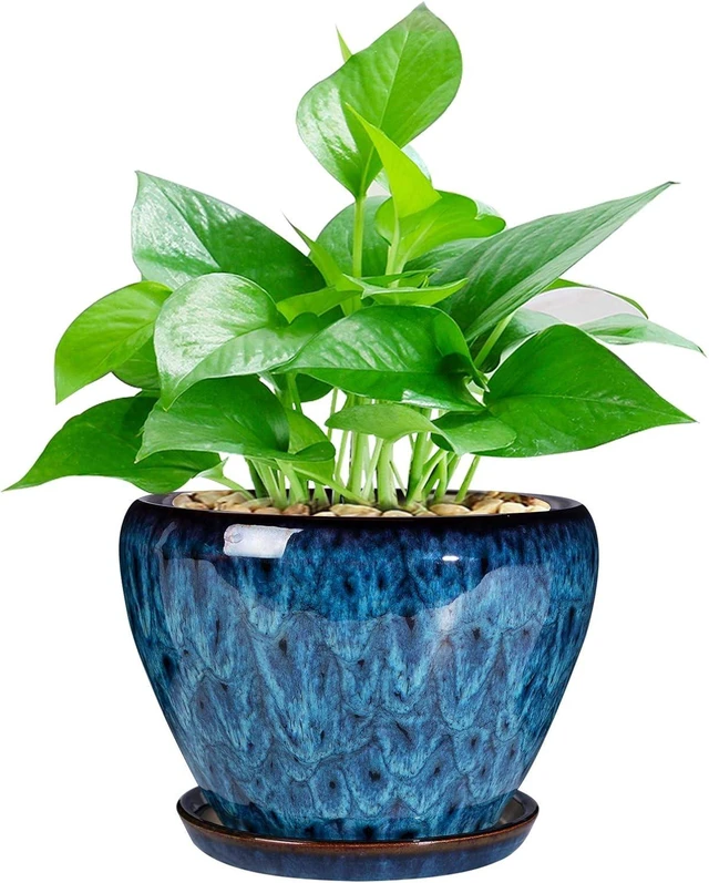 Main image of Ceramic Modern Glaze Succulent Planter Pot with Drainage Hole and Saucer 6 Inch Round Flower Plant Pot for Indoor Outdoor Herb Snake Plants