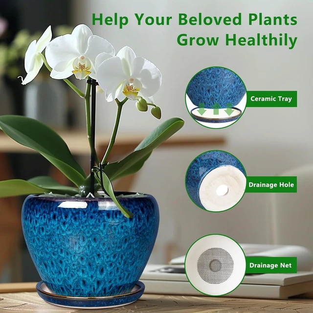 Alt view image 4 of 7 - Ceramic Modern Glaze Succulent Planter Pot with Drainage Hole and Saucer 6 Inch Round Flower Plant Pot for Indoor Outdoor Herb Snake Plants