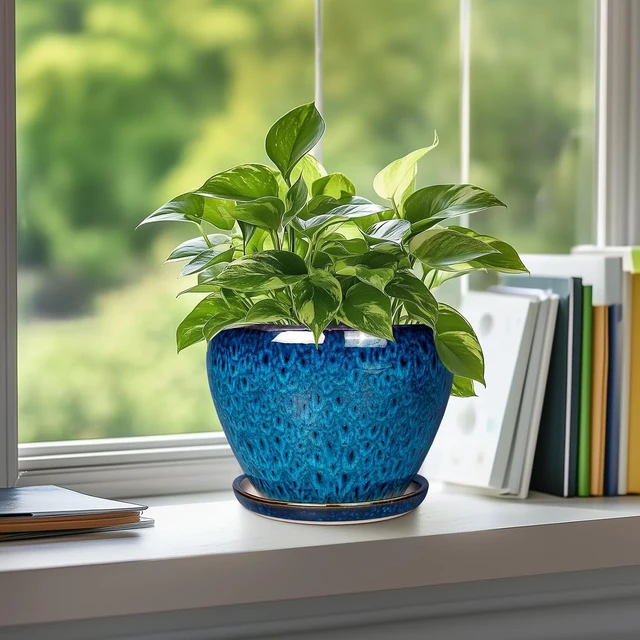 Alt view image 5 of 7 - Ceramic Modern Glaze Succulent Planter Pot with Drainage Hole and Saucer 6 Inch Round Flower Plant Pot for Indoor Outdoor Herb Snake Plants