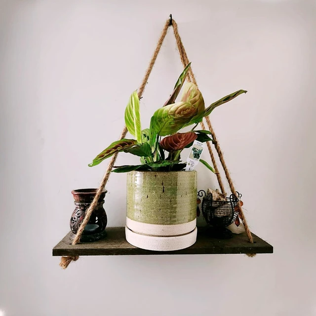Alt view image 2 of 6 - HERDUK 6 Inch Plant Pots, Ceramic Planter Pot with Drainage Hole & Saucer, Indoor/Outdoor Cylinder Round Planter Pot, Green & Beige