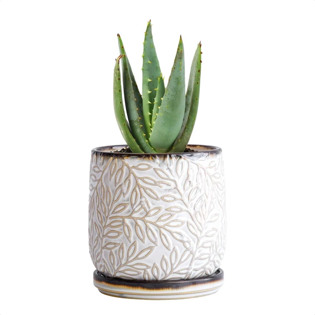 Main image of D'vine Dev Embossed Leaves Ceramic Planter, 4 in, Smoked White, 27-A-Z-1