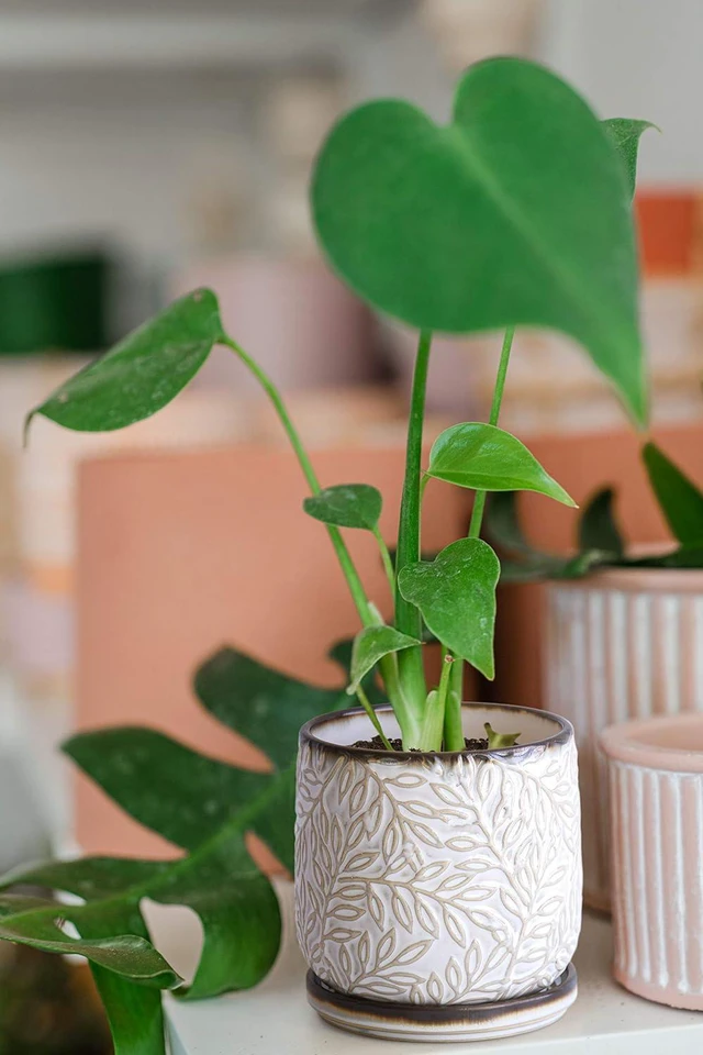 Alt view image 6 of 7 - D'vine Dev Embossed Leaves Ceramic Planter, 4 in, Smoked White, 27-A-Z-1
