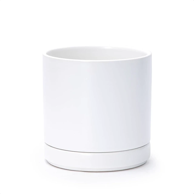 Main image of D'vine Dev 6.5 Inch Ceramic Planter Pot, White, 94-O-C-1