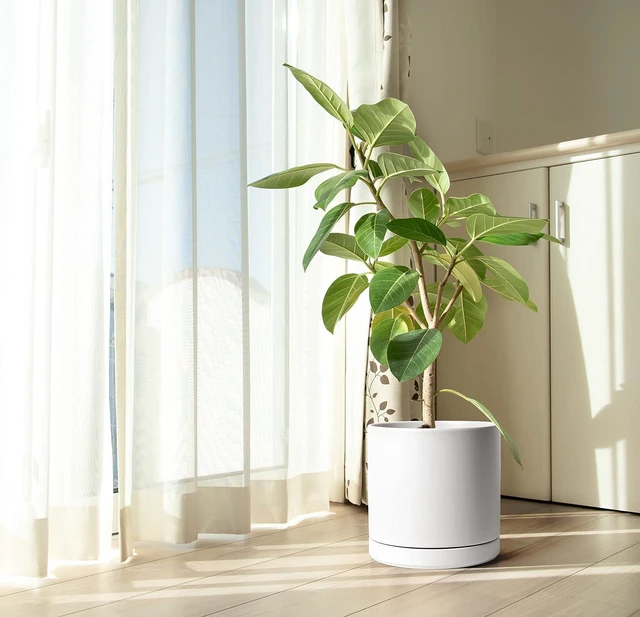 Alt view image 6 of 6 - D'vine Dev 12 Inch Ceramic Planter Pot, White, 94-O-F-1