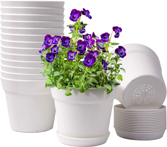 Main image of 6 Inch Plastic Plant Pots with Drainage Holes and Trays (15 Pcs)