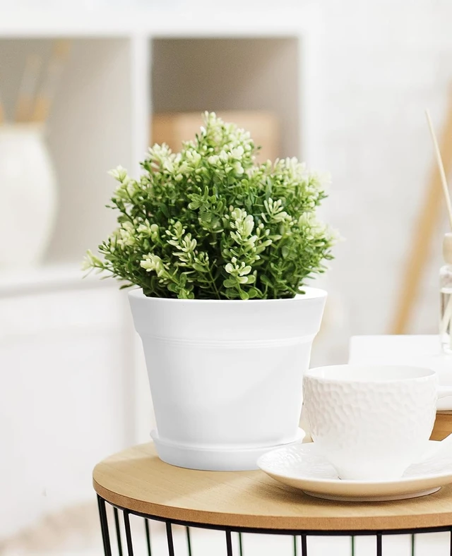 Alt view image 4 of 6 - 6 Inch Plastic Plant Pots with Drainage Holes and Trays (15 Pcs)
