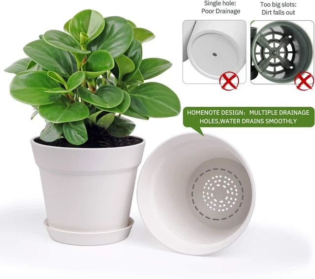 Alt view image 6 of 6 - 6 Inch Plastic Plant Pots with Drainage Holes and Trays (15 Pcs)