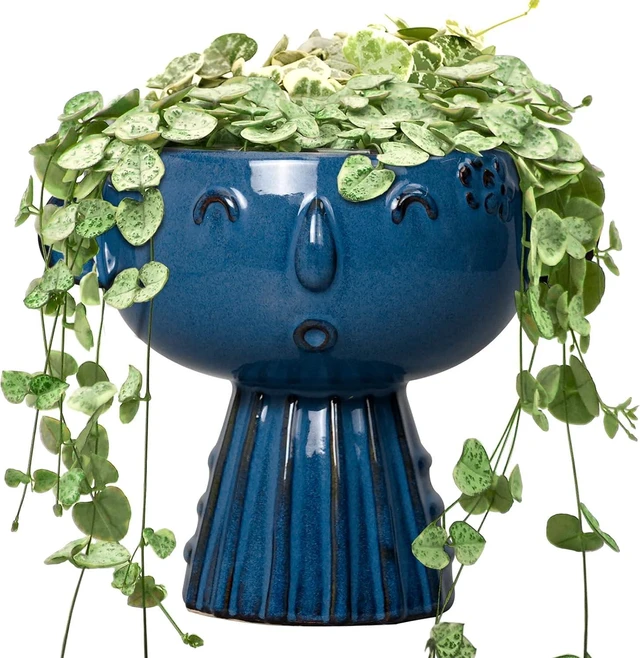 Main image of Head Planter Pot - 7 Inch Cute Face Planter for Indoor Outdoor Plants Ceramic Succulent Pot Round Flower Pot Present for Mother Christmas with Drainage Hole Blue