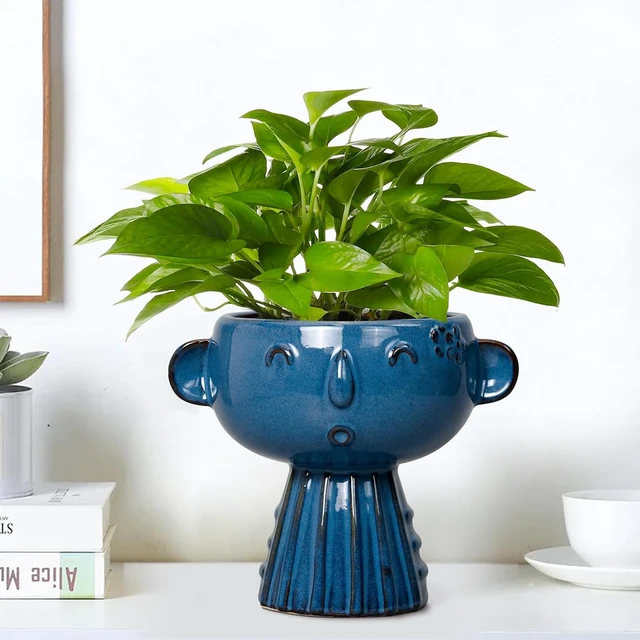 Alt view image 4 of 7 - Head Planter Pot - 7 Inch Cute Face Planter for Indoor Outdoor Plants Ceramic Succulent Pot Round Flower Pot Present for Mother Christmas with Drainage Hole Blue