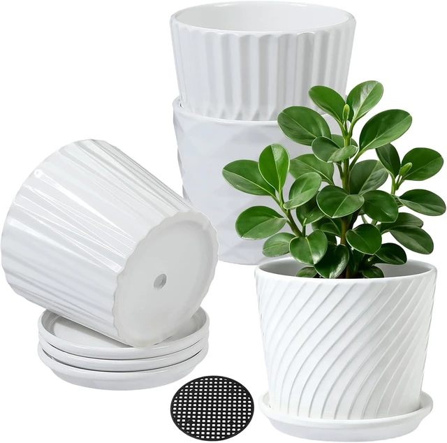 Main image of 5.5 Ceramic Plant Pots with Drainage and Saucer 4PCs White