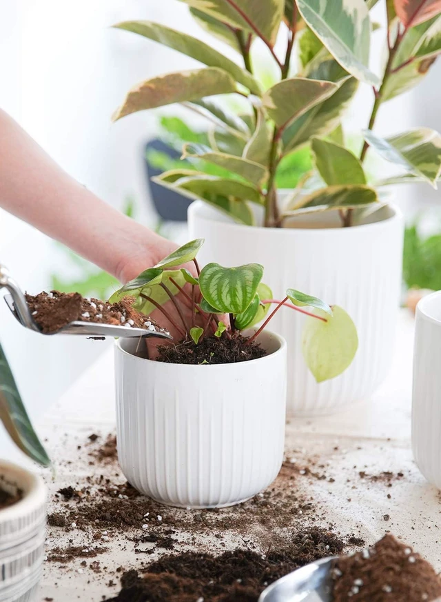 Alt view image 2 of 7 - LE TAUCI Ceramic Planters, 8.3/7/6 Inch Indoor Pots for Plants with Drainage Holes & Mesh, Modern Matte Glaze Cylinder Fluted Plant Pot for Snake Plant, Set of 3, White