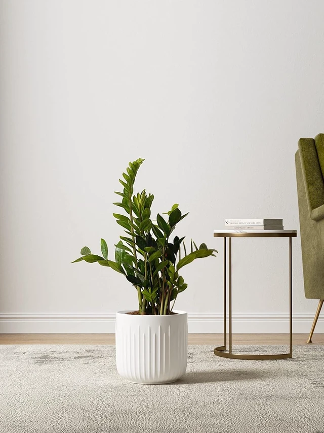 Alt view image 3 of 7 - LE TAUCI Ceramic Planters, 8.3/7/6 Inch Indoor Pots for Plants with Drainage Holes & Mesh, Modern Matte Glaze Cylinder Fluted Plant Pot for Snake Plant, Set of 3, White