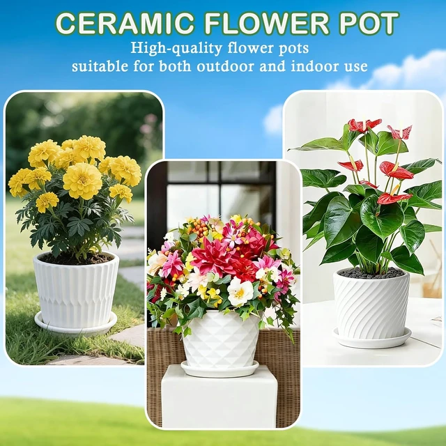 Alt view image 5 of 7 - 5.5 Ceramic Plant Pots with Drainage and Saucer 4PCs White