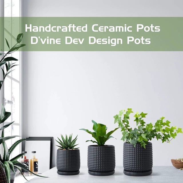 Alt view image 7 of 7 - D'vine Dev Beaded Ceramic Pot with Saucer, 6 in, Ebony Matte, 27-C-X-6