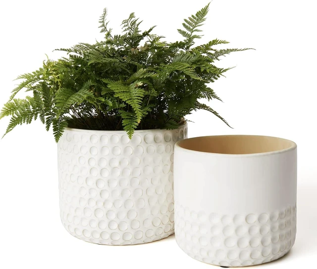 Main image of LA JOLIE MUSE Ceramic Plant Pots, Flower Pots for Indoor Plants, Set of 2