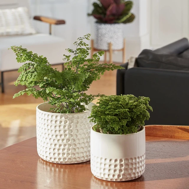 Alt view image 3 of 6 - LA JOLIE MUSE Ceramic Plant Pots, Flower Pots for Indoor Plants, Set of 2