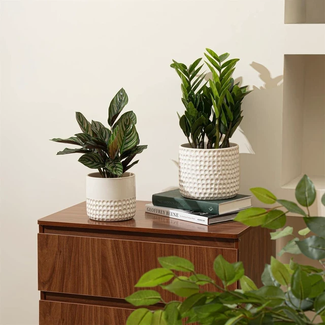 Alt view image 4 of 6 - LA JOLIE MUSE Ceramic Plant Pots, Flower Pots for Indoor Plants, Set of 2