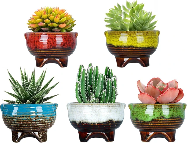 Main image of Succulent Pots, 4 Inch Small Ceramic Pots for Indoor Plants