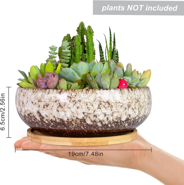 Alt view image 2 of 6 - ARTKETTY Bonsai Pots, 7.5 Inch Large Plant Pots with Bamboo Tray