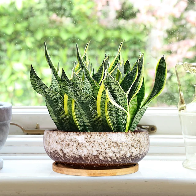Alt view image 6 of 6 - ARTKETTY Bonsai Pots, 7.5 Inch Large Plant Pots with Bamboo Tray