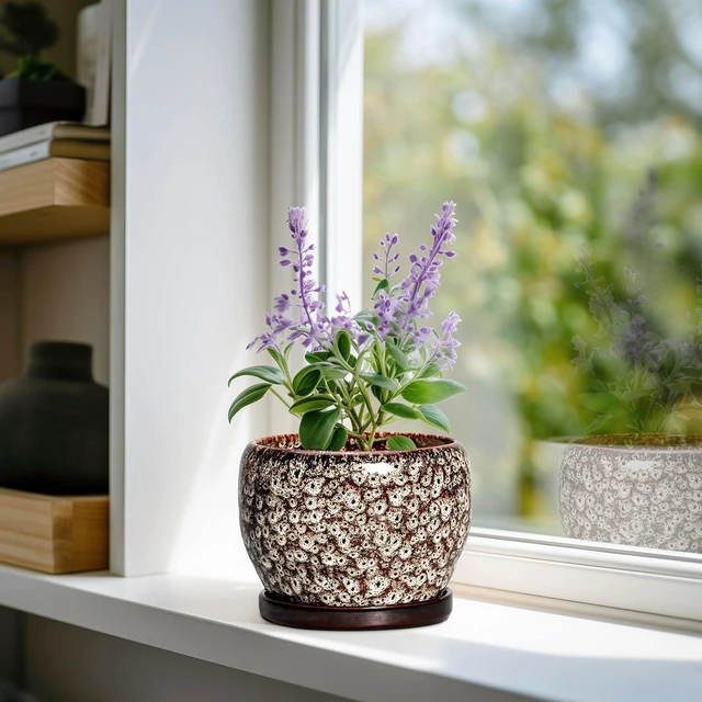 Alt view image 2 of 6 - SQOWL Ceramic Plant Pots - 6 Inch Ceramic Planter for Indoor Outdoor, Small Flower Pots with Drainage Hole and Saucer, Decorative Round Planter, Home Office Decor, Plant Lover Gifts, White