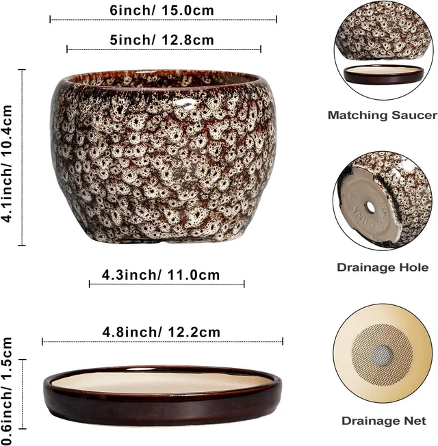 Alt view image 3 of 6 - SQOWL Ceramic Plant Pots - 6 Inch Ceramic Planter for Indoor Outdoor, Small Flower Pots with Drainage Hole and Saucer, Decorative Round Planter, Home Office Decor, Plant Lover Gifts, White