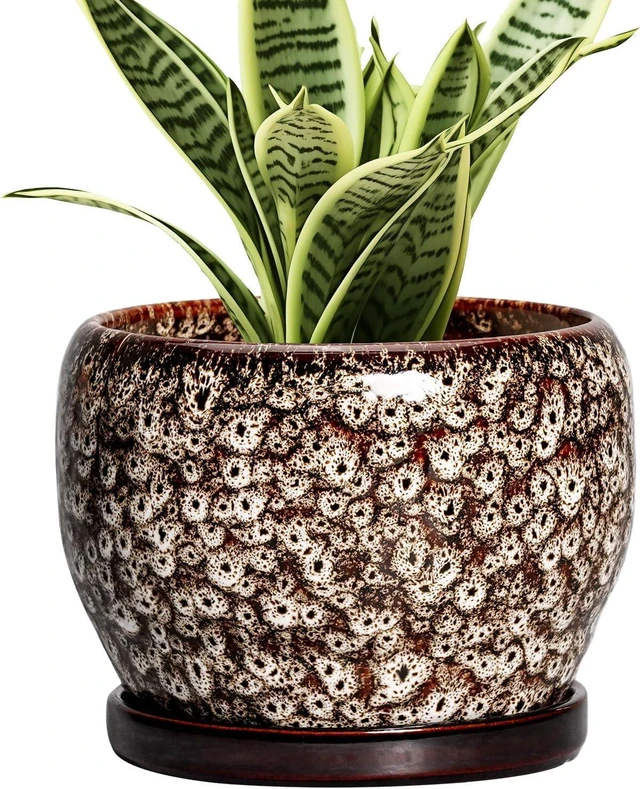 Main image of SQOWL Ceramic Plant Pots - 6 Inch Ceramic Planter for Indoor Outdoor, Small Flower Pots with Drainage Hole and Saucer, Decorative Round Planter, Home Office Decor, Plant Lover Gifts, White