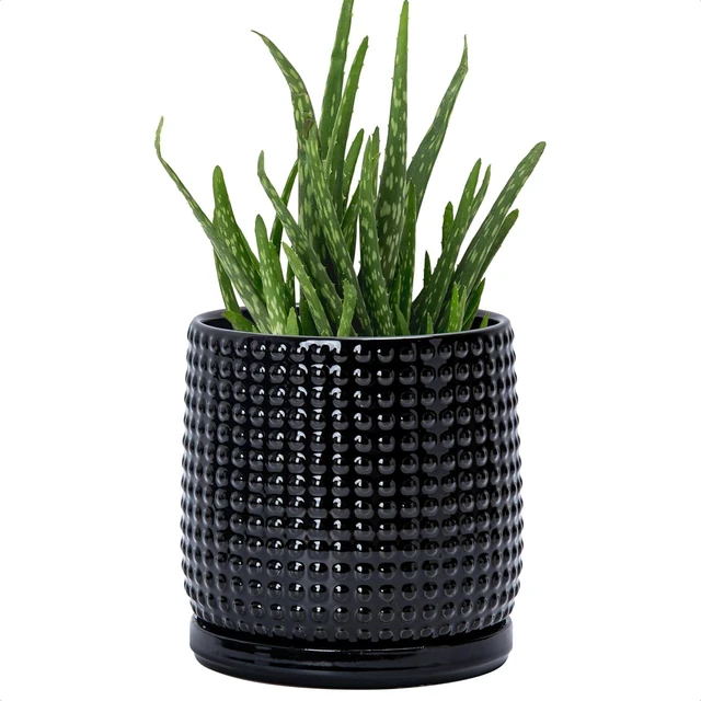 Main image of D'vine Dev Beaded Ceramic Pot with Saucer, 6 in, Glossy Black, 27-C-X-2