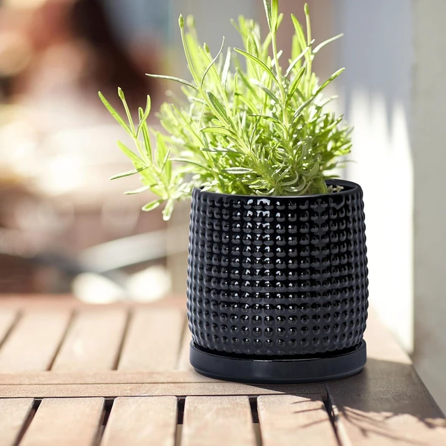 Alt view image 2 of 6 - D'vine Dev Beaded Ceramic Pot with Saucer, 4 in, Glossy Black, 27-C-Z-2